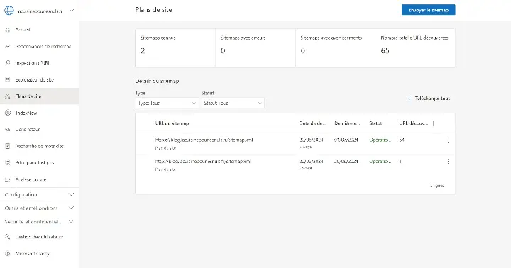 Capture d'écran de Bing Webmaster Tools sur la page d'importation de sitemap