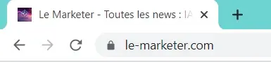 Capture d'écran du rendu des favicons dans les moteurs de recherche