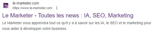 Exemple de vitrine dans les résultats de recherche Google